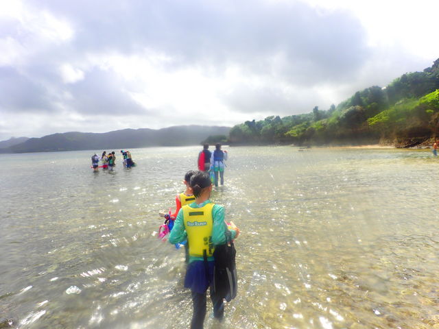 ꂩVm[PO_Ί_cA[KChI[u[