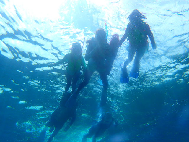 KCh񂪐ĉʐ^BĂꂽ_Ί_cA[KChI[u[