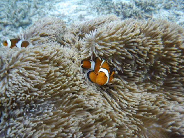 ����܂Ő���Ȃ����ɑւ���ăX�^�b�t���񂪎B���Ă���܂����B_big beach�Ί_��