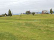 Ԕȃ_̎Op[NStNu̓eʐ^1