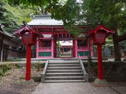 pon񂳂̐cV_Ђ̓eʐ^1