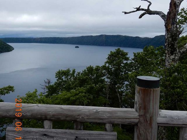 �������W�]�䂩��̒��]_�������W�]��