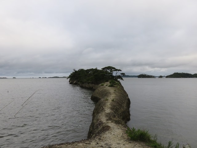 �i�F_�n�̔w�i���ʖ��������j