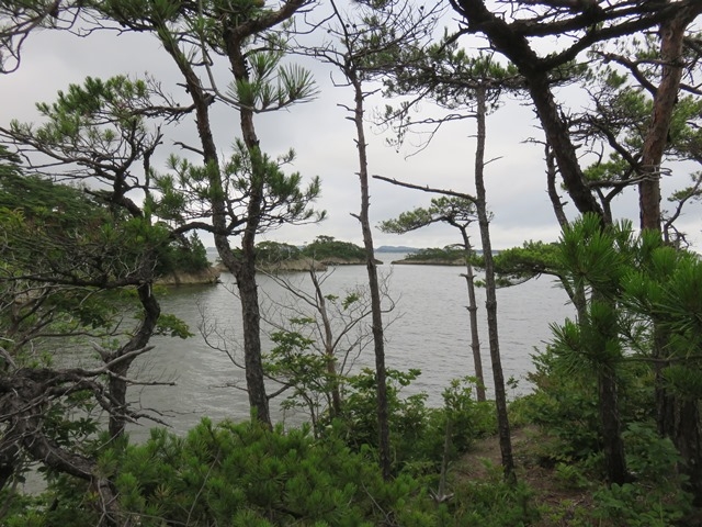 �i�F_�n�̔w�i���ʖ��������j