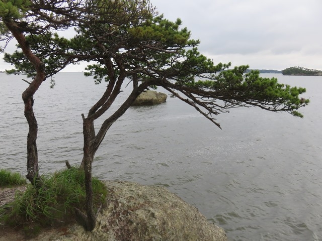 �i�F_�n�̔w�i���ʖ��������j