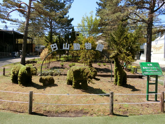 ����_�~�R������