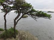 Ă̔n̔wiʖj̓eʐ^4