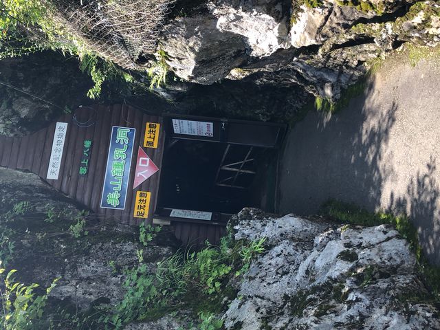 �ߓ���������ł��B_�S�㔪�� ���R�ߓ���