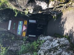 �΂�������̌S�㔪�� ���R�ߓ����ւ̓��e�ʐ^1