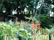 ǂ܂邳̉~Rgב喾_̓eʐ^3