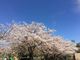 peroさんの大池公園（愛知県東海市）の投稿写真1