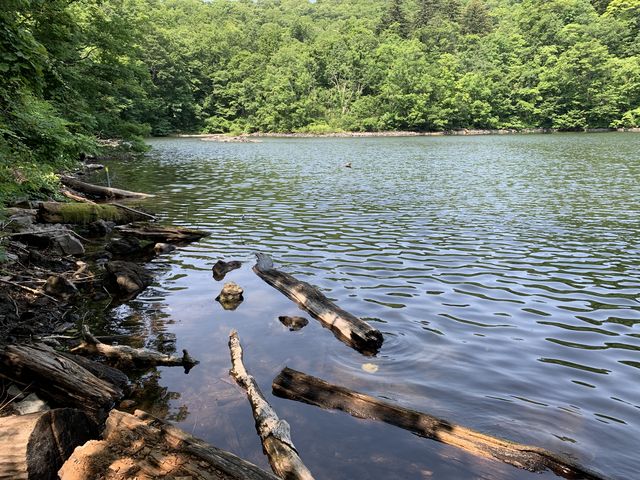 ���R�̂܂܂ł�_������