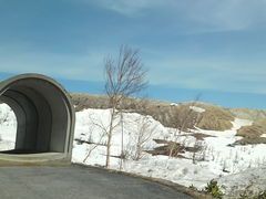 �����R�̎ʐ^2