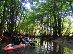 sasasasasa̐\RuXւ̓eʐ^1