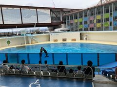 �ɓ��E�O�ÃV�[�p���_�C�X�̎ʐ^1