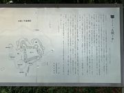 �X�^�[����̑��}���̓��e�ʐ^1