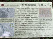 �X�^�[����̑��}���̓��e�ʐ^1