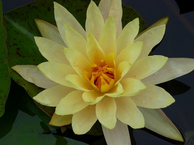 ���ꌧ�E�����A�������݂��̐X_���Îs�������A�������݂��̐X