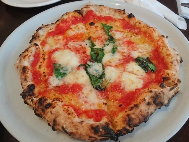 }Q[^ō_PIZZA BORSA r