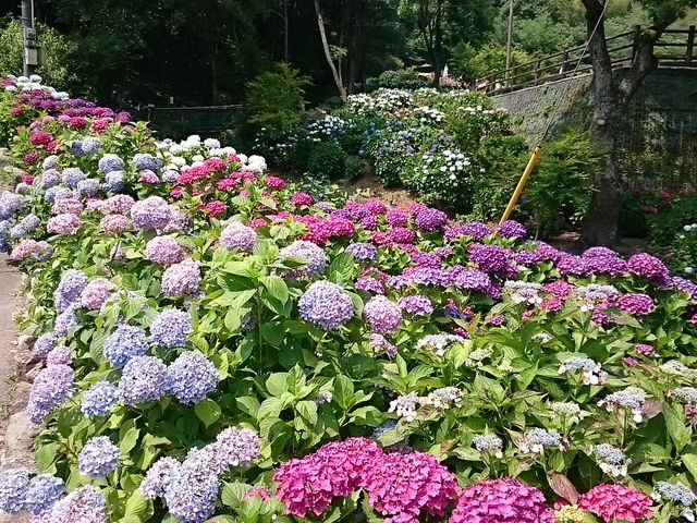 ܂܂̂ƂƂAWTC̓eʐ^1