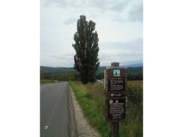 �P���ƃ����[�̖�_�e�q�̖�