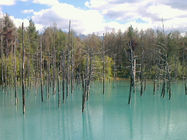 ���r_�т�����������ό��g��