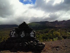 �ɂ��ǂ񂳂�̔��l�x�ւ̓��e�ʐ^1