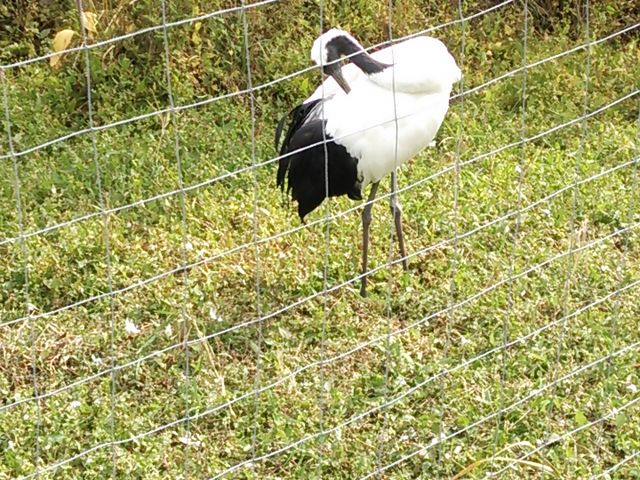 �O����_�O���ߎ��R����