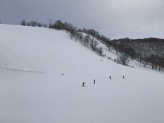 Lbh̃jZRAkvShւ̓eʐ^1