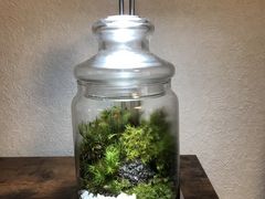 m2aũt@~[K[fzt(ztAjւ̓eʐ^1