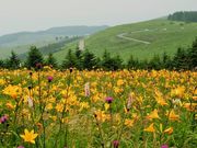 񂳂̖􍂌̃jbRELXQ̓eʐ^2