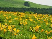 񂳂̖􍂌̃jbRELXQ̓eʐ^4