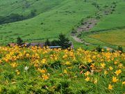 񂳂̖􍂌̃jbRELXQ̓eʐ^6