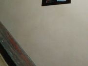 �ǂ�܂邳��̉����J���[ �{���f�B�@�_�ے��{�X�̓��e�ʐ^1