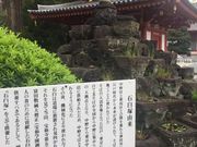 Kuda12̐ΉP˂̓eʐ^1