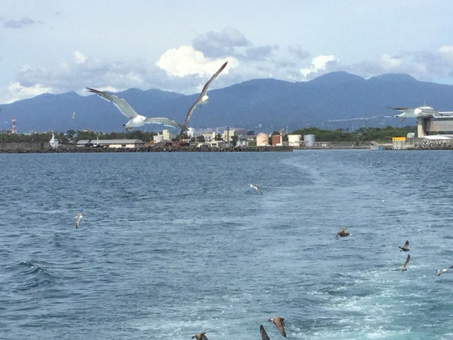 �����߂�����Ă��܂���_���ǂ���Í`�V���N���[�Y