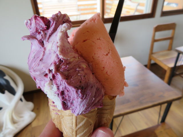 JVXIWƃu[x[`[Y_GELATERIA GELABO