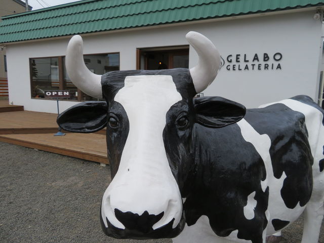 yosshyGELATERIA GELABO̓eʐ^4