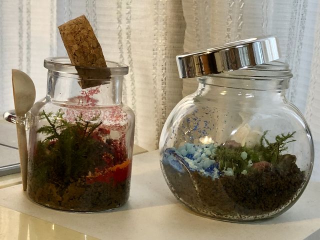 qB̍iłI_ȗ΂̃CeA@ۉ