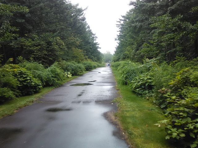 ���q�������܂��B���̎��͂��܂�n�����܂���ł����B_�m�[�U���z�[�X�p�[�N