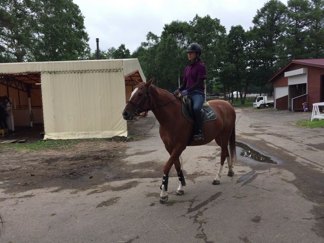 �X�������񂪂����b���Ă���Ƃ�����������΂Ō���܂��B_�m�[�U���z�[�X�p�[�N