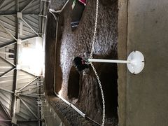 Shota̎OێRՂւ̓eʐ^1