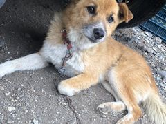 花巻スポーツランド 予約 アクセス 割引クーポン じゃらんnet