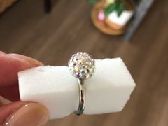 �Ђ�ꂳ��̃G���K���g�K���X���[�N�����ւ̓��e�ʐ^1