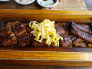 Ђq񂳂̎R̖؂̓eʐ^1