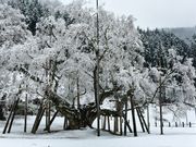 ͌̃J}̒Wn iJWnj̓eʐ^3