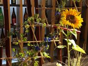 bs`̘aH_CjO ݐ̓eʐ^3