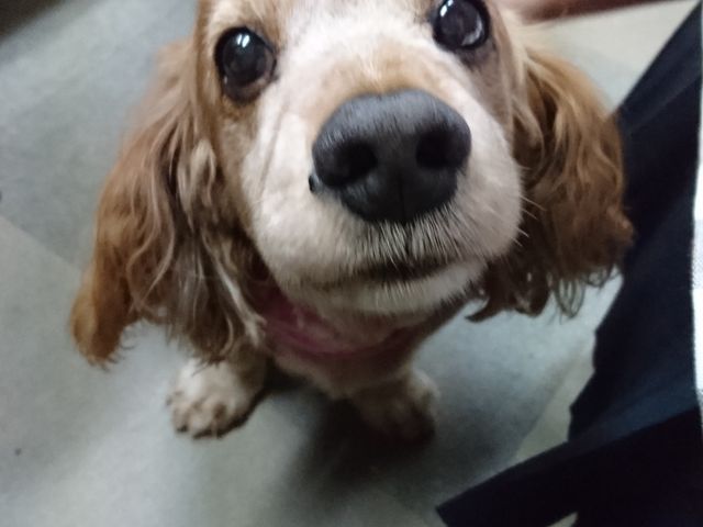 ���������_�����q