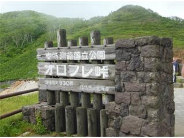 ���̔u�x┓��ꍑ�������F�I���t�����v(�W��930m)_�I���t����