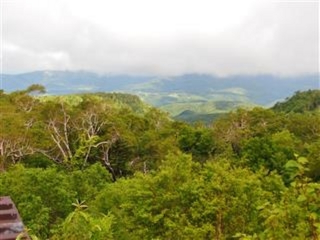 �u�I���t�����v����̌i�F_�I���t����